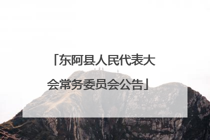 东阿县人民代表大会常务委员会公告