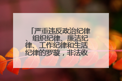 严重违反政治纪律、组织纪律、廉洁纪律、工作纪律和生活纪律的罗璇，非法收受他人巨额财物