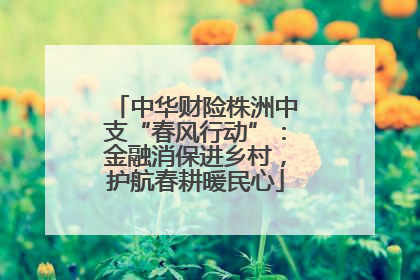 中华财险株洲中支“春风行动”：金融消保进乡村，护航春耕暖民心