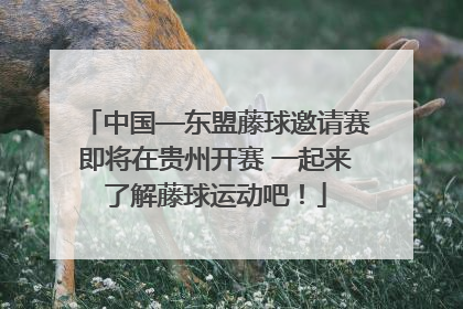 中国—东盟藤球邀请赛即将在贵州开赛 一起来了解藤球运动吧！
