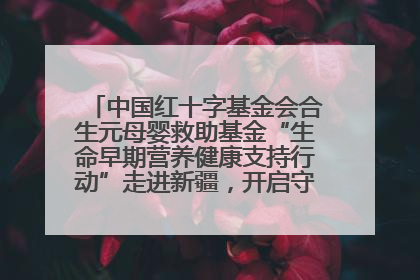 中国红十字基金会合生元母婴救助基金“生命早期营养健康支持行动”走进新疆，开启守护母婴新篇章！