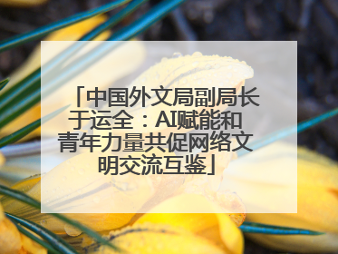 中国外文局副局长于运全：AI赋能和青年力量共促网络文明交流互鉴