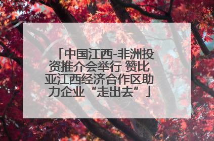 中国江西-非洲投资推介会举行 赞比亚江西经济合作区助力企业“走出去”