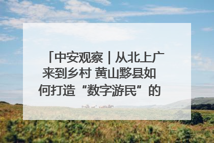 中安观察｜从北上广来到乡村 黄山黟县如何打造“数字游民”的“桃花源”？
