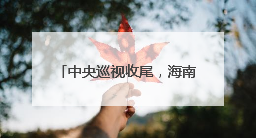 中央巡视收尾，海南3天连查3名厅官