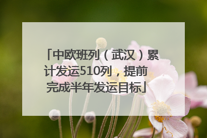 中欧班列（武汉）累计发运510列，提前完成半年发运目标