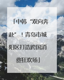中韩“双向奔赴”！青岛市城阳区打造跨国消费狂欢场