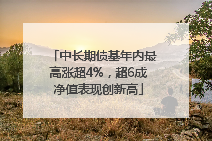 中长期债基年内最高涨超4%，超6成净值表现创新高