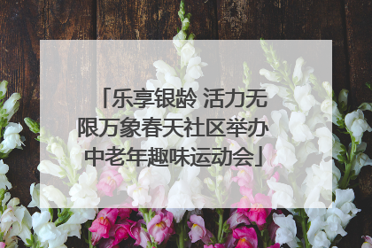 乐享银龄 活力无限万象春天社区举办中老年趣味运动会