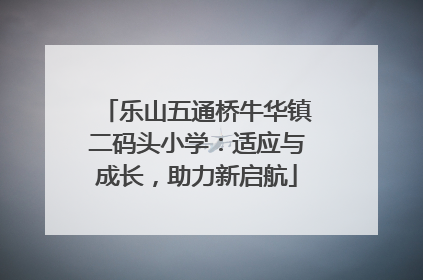 乐山五通桥牛华镇二码头小学：适应与成长，助力新启航