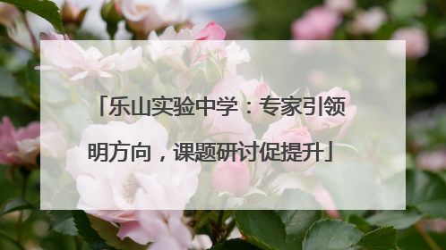 乐山实验中学：专家引领明方向，课题研讨促提升