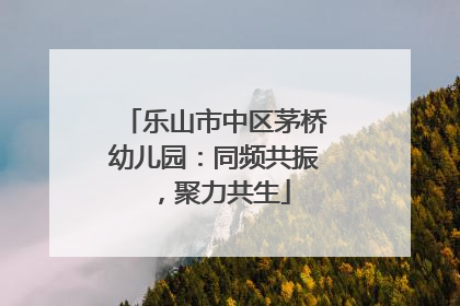 乐山市中区茅桥幼儿园：同频共振，聚力共生