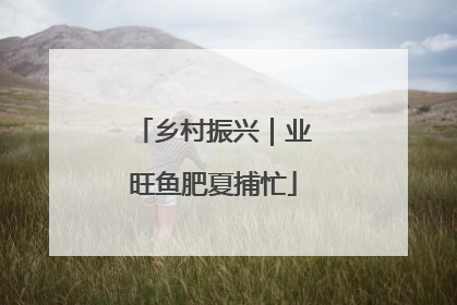 乡村振兴｜业旺鱼肥夏捕忙