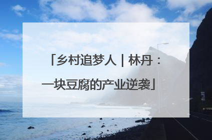 乡村追梦人｜林丹：一块豆腐的产业逆袭