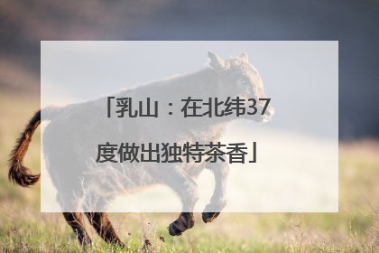 乳山：在北纬37度做出独特茶香