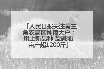 人民日报关注黄三角农高区种粮大户：用上新品种 盐碱地亩产超1200斤