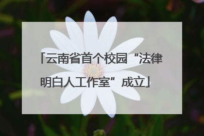 云南省首个校园“法律明白人工作室”成立