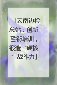 云南边检总站：创新警衔培训，锻造“硬核”战斗力
