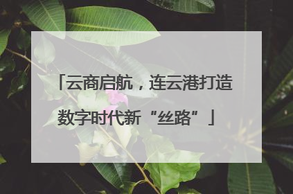 云商启航，连云港打造数字时代新“丝路”