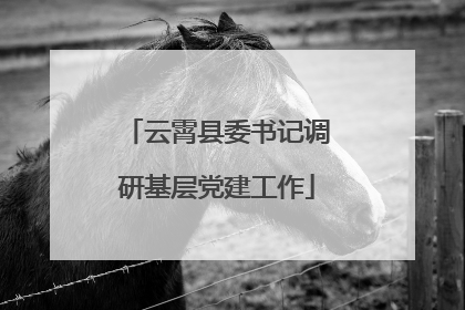 云霄县委书记调研基层党建工作