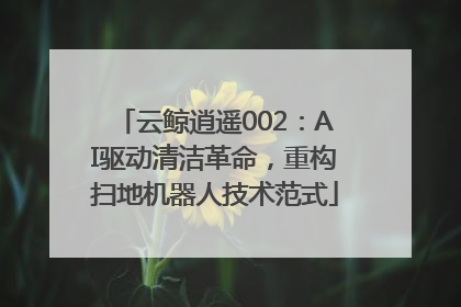 云鲸逍遥002：AI驱动清洁革命，重构扫地机器人技术范式