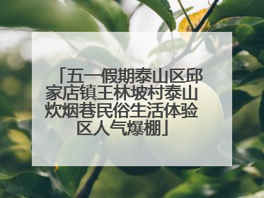 五一假期泰山区邱家店镇王林坡村泰山炊烟巷民俗生活体验区人气爆棚