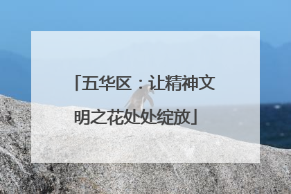 五华区：让精神文明之花处处绽放
