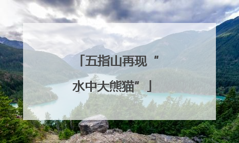 五指山再现“水中大熊猫”