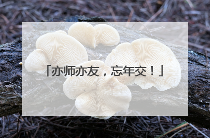 亦师亦友，忘年交！