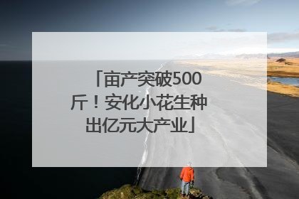 亩产突破500斤！安化小花生种出亿元大产业