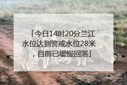 今日14时20分兰江水位达到警戒水位28米，目前已缓慢回落