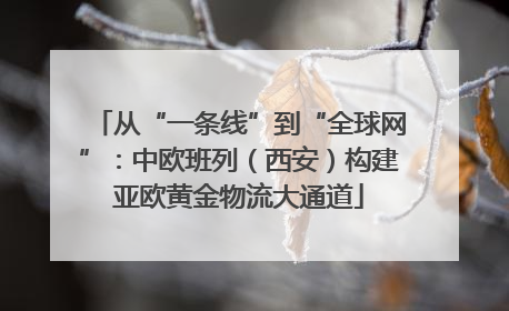 从“一条线”到“全球网”：中欧班列（西安）构建亚欧黄金物流大通道