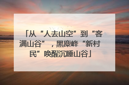 从“人去山空”到“客满山谷”，黑麋峰“新村民”唤醒沉睡山谷