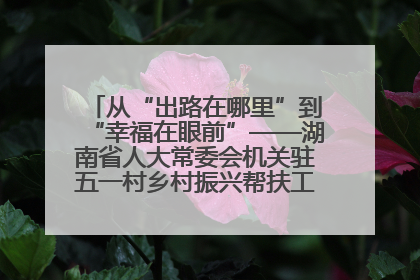 从“出路在哪里”到“幸福在眼前”——湖南省人大常委会机关驻五一村乡村振兴帮扶工作队书写振兴答卷