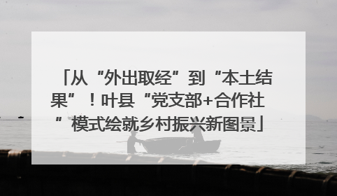 从“外出取经”到“本土结果”！叶县“党支部+合作社”模式绘就乡村振兴新图景