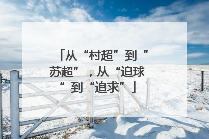 从“村超”到“苏超”，从“追球”到“追求”