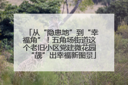 从“隐患地”到“幸福角”！五角场街道这个老旧小区党建微花园“靓”出幸福新图景
