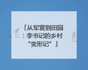 从军营到田园：李书记的乡村 “变形记”