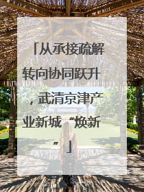 从承接疏解转向协同跃升，武清京津产业新城“焕新”