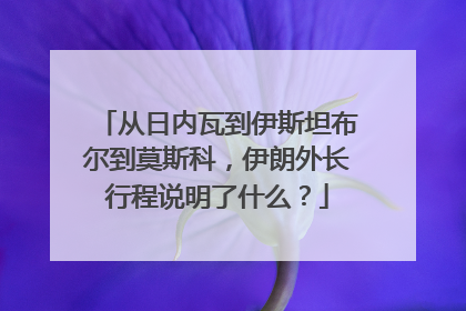 从日内瓦到伊斯坦布尔到莫斯科，伊朗外长行程说明了什么？