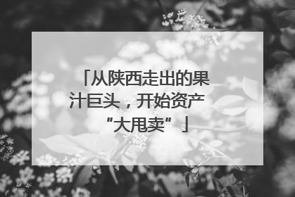 从陕西走出的果汁巨头，开始资产“大甩卖”