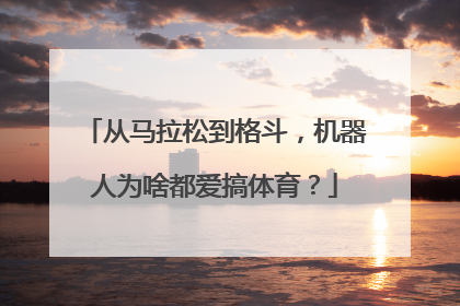 从马拉松到格斗，机器人为啥都爱搞体育？