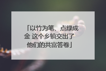 以竹为笔、点绿成金 这个乡镇交出了他们的共富答卷
