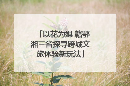 以花为媒 赣鄂湘三省探寻跨城文旅体验新玩法