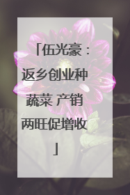 伍光豪：返乡创业种蔬菜 产销两旺促增收