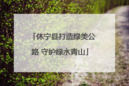 休宁县打造绿美公路 守护绿水青山
