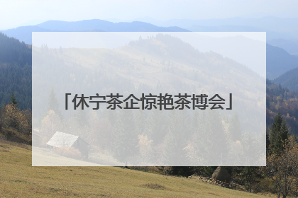 休宁茶企惊艳茶博会