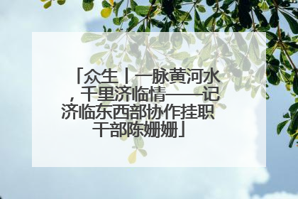 众生丨一脉黄河水，千里济临情——记济临东西部协作挂职干部陈姗姗