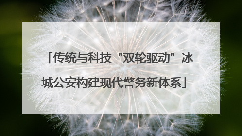 传统与科技“双轮驱动”冰城公安构建现代警务新体系
