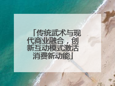 传统武术与现代商业融合，创新互动模式激活消费新动能